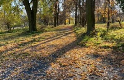 Kaštieľ na predaj Mzurów, województwo śląskie:  