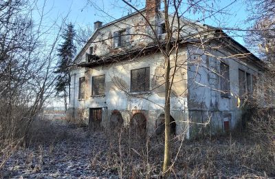 Kaštieľ na predaj Smaszew, Dwór w Smaszewie, województwo wielkopolskie, Pohľad zboku