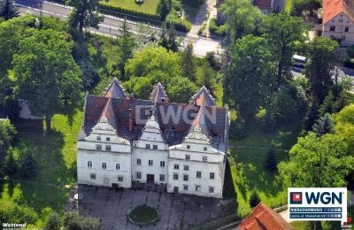 Zámok na predaj Wilków Wielki, Zamek w Wilkowie Wielkim, województwo dolnośląskie,, Fotografia Drona
