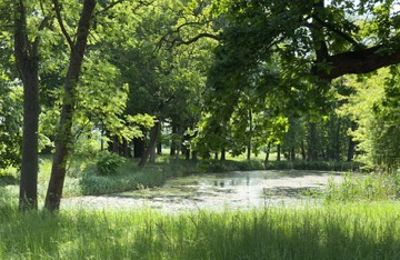 Kaštieľ na predaj Gierłachowo, Dwór w Gierłachowie 18a, województwo wielkopolskie, Obrázok 33/34