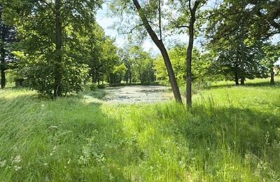 Kaštieľ na predaj Gierłachowo, Dwór w Gierłachowie 18a, województwo wielkopolskie, Obrázok 34/34