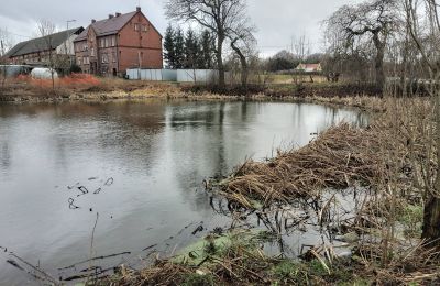 Zámok na predaj Bronów, Pałac w Bronowie, województwo dolnośląskie:  Jazero