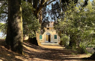 Historická vila na predaj Siena, Toscana:  RIF 2937 Blick auf Eingang
